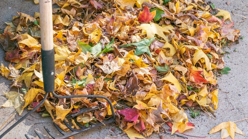 Zero Waste Meal Prep Secrets California Chefs Use