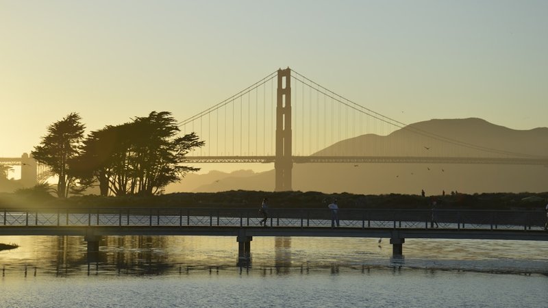 Bay Area Biohacking Essentials